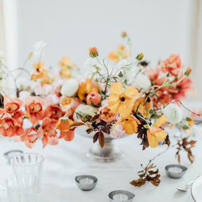 Elopement in Vienna