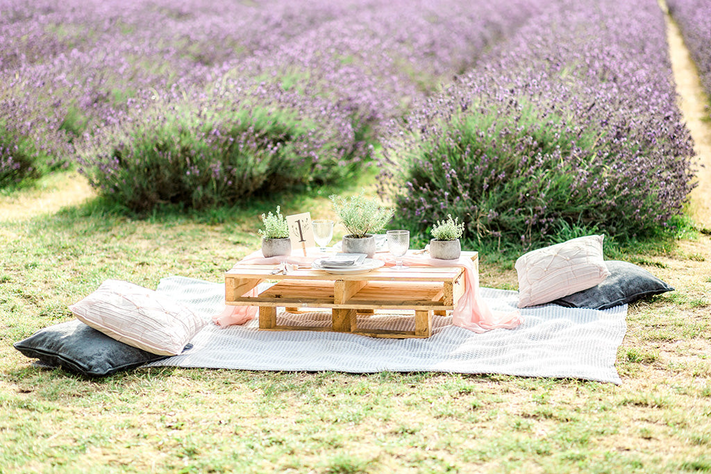 Mayfield Lavender