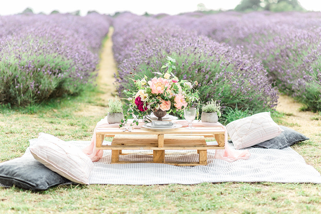 Mayfield Lavender