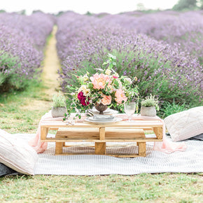 Mayfield Lavender