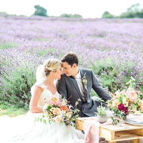 Mayfield Lavender